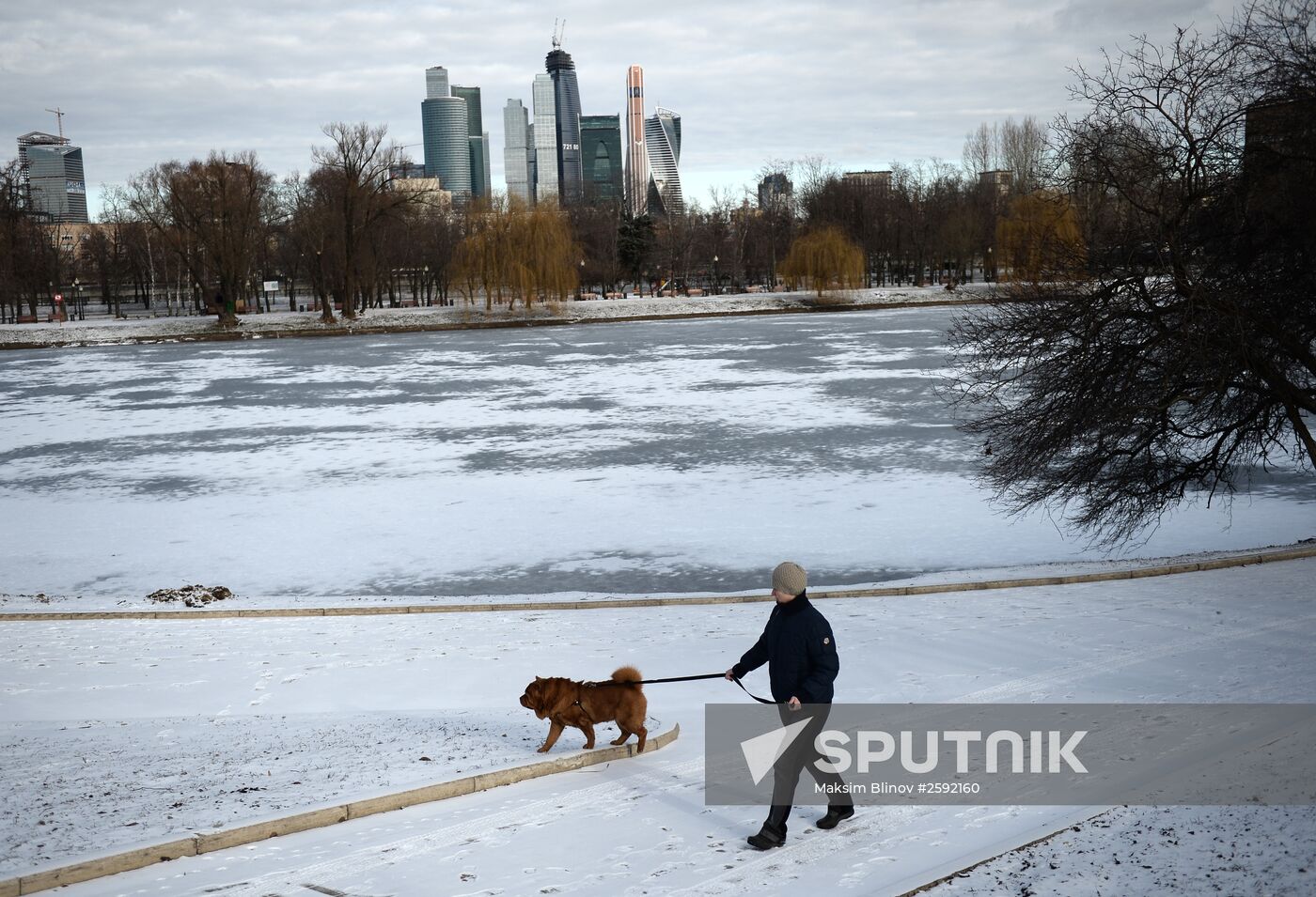 Snowfall in Moscow