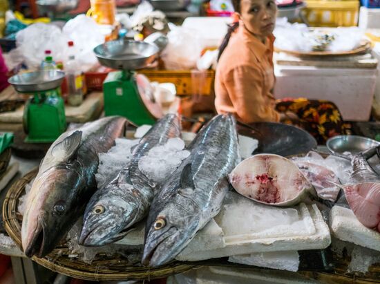 Cities of the world. Da Nang