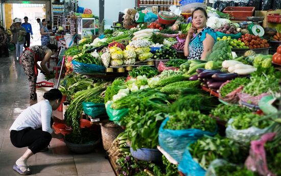 Cities of the world. Da Nang