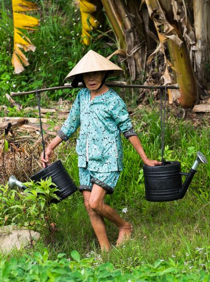 Cities of the world. Da Nang