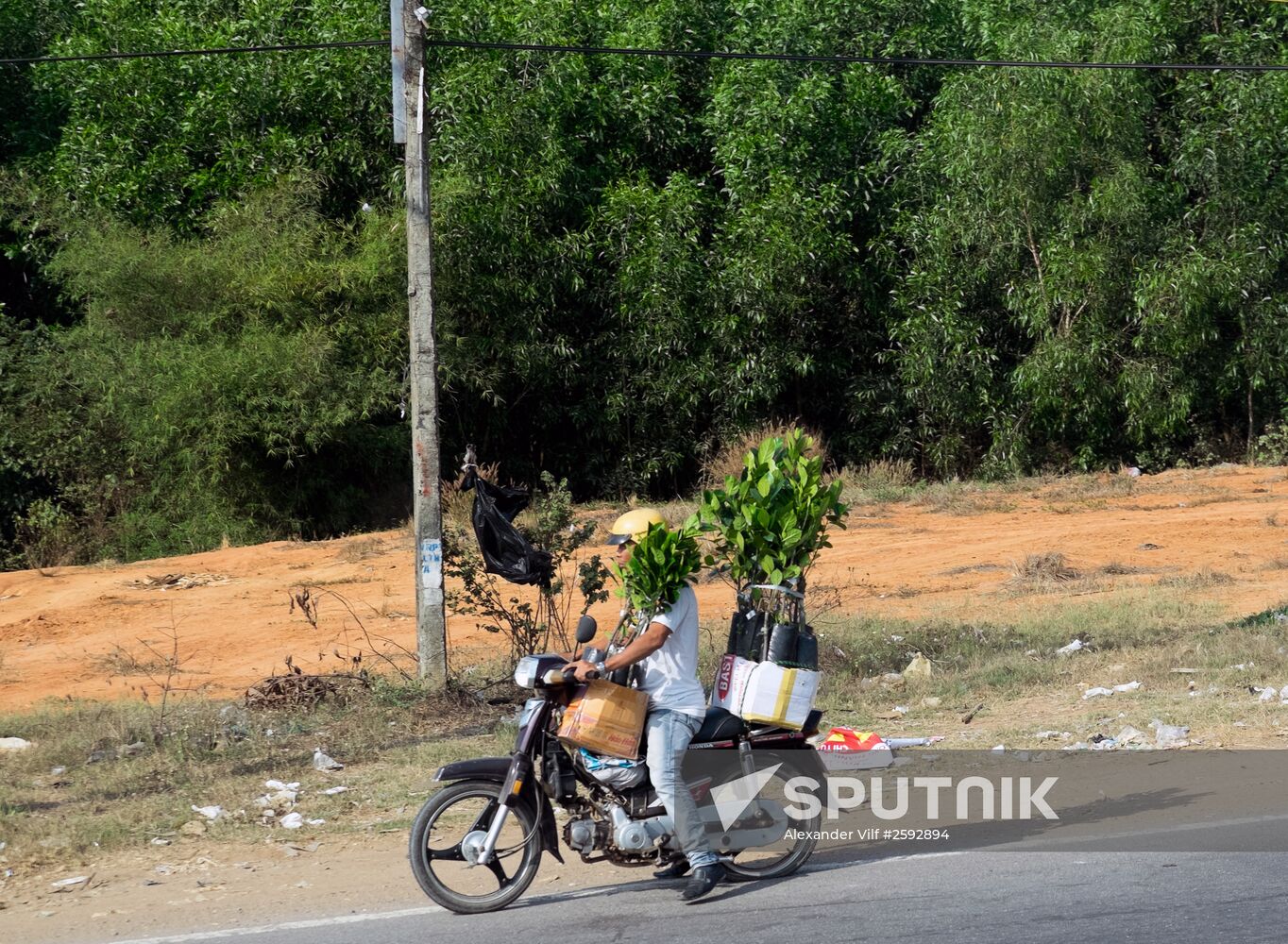 Cities of the world. Ho Chi Minh City
