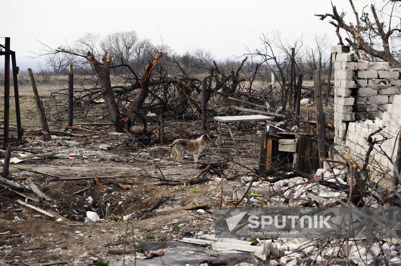 Donetsk Region update