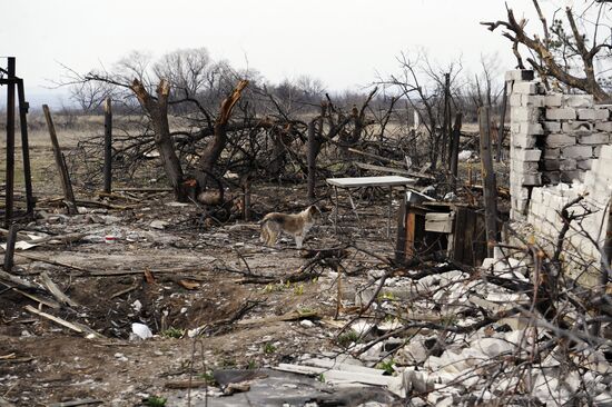 Donetsk Region update