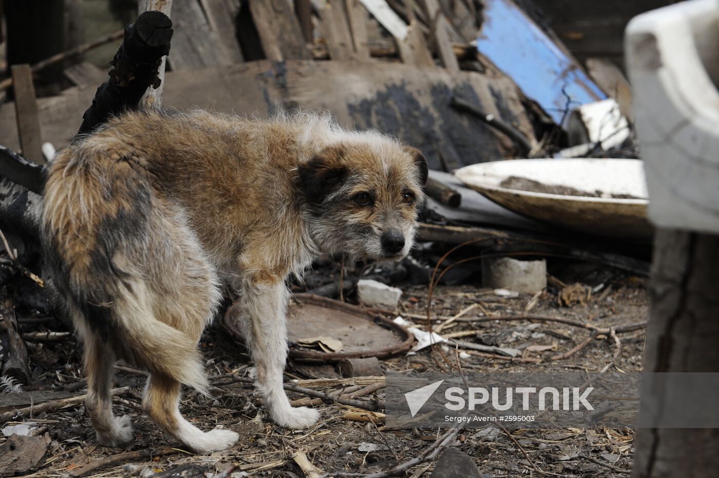Donetsk Region update