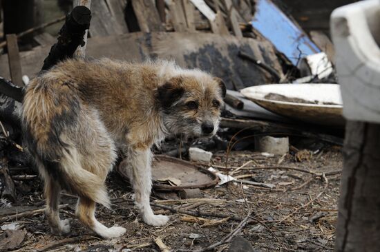 Donetsk Region update