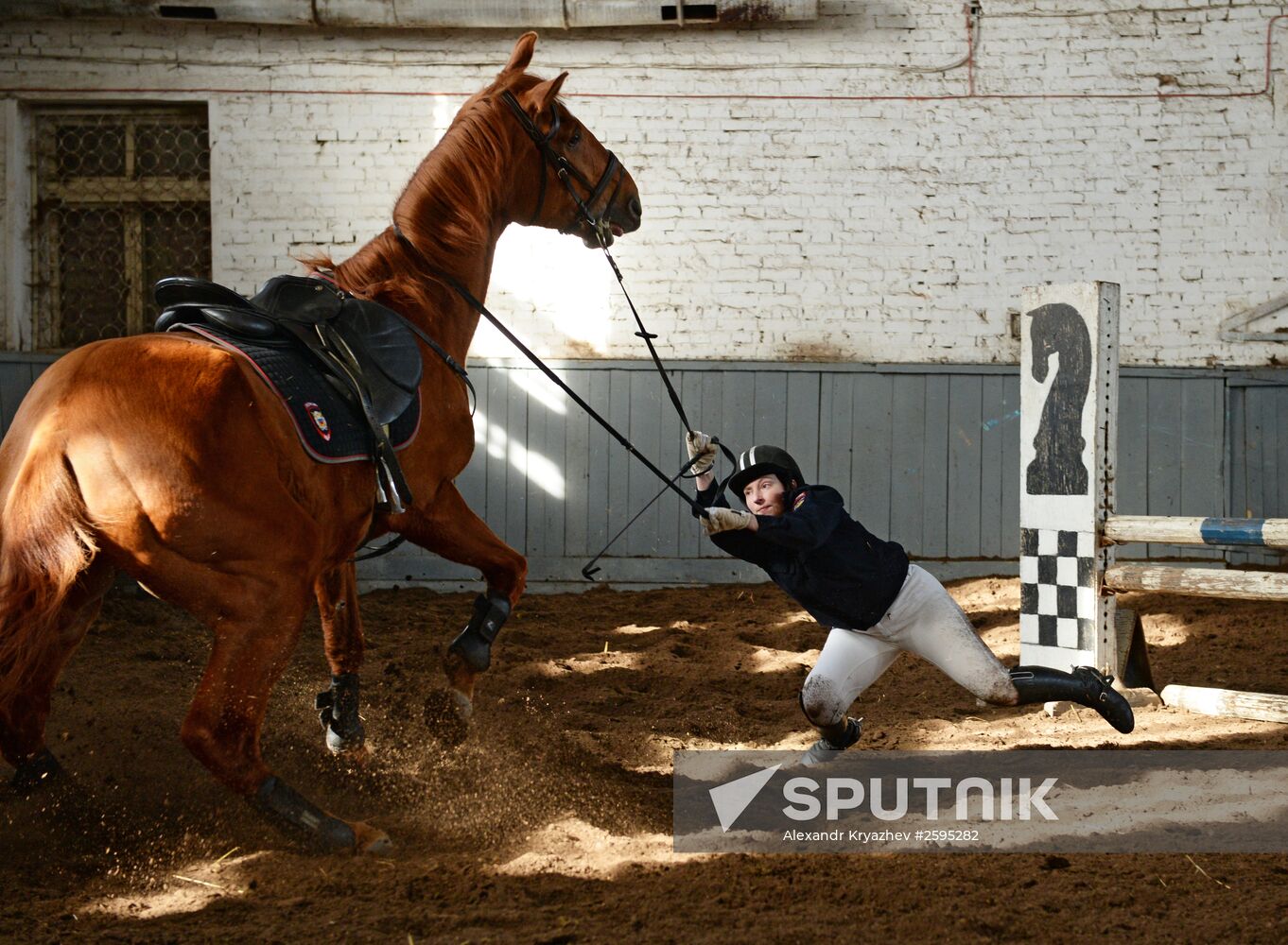 Equestrian training center in Novosibirsk