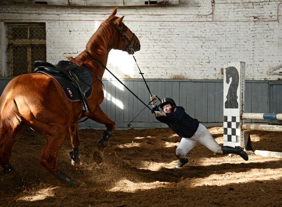Equestrian training center in Novosibirsk
