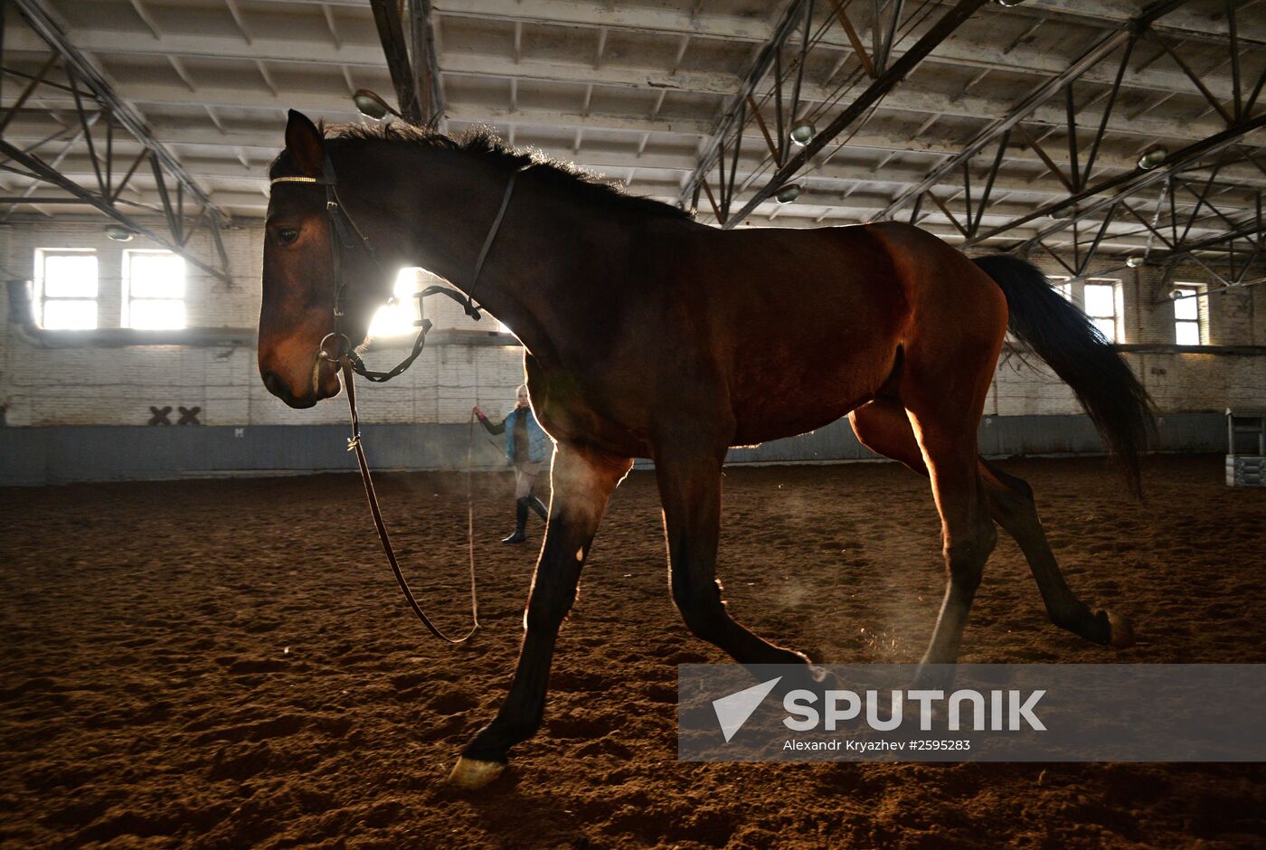 Equestrian training center in Novosibirsk