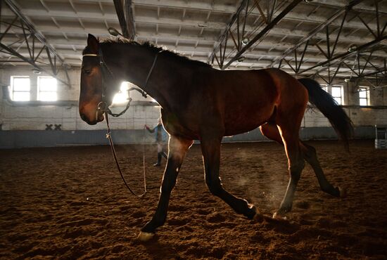 Equestrian training center in Novosibirsk