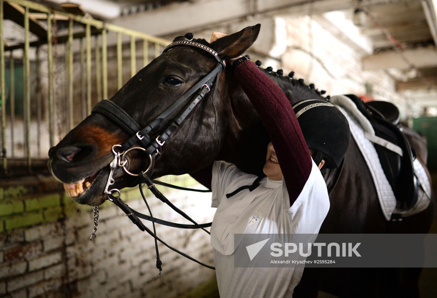 Equestrian training center in Novosibirsk