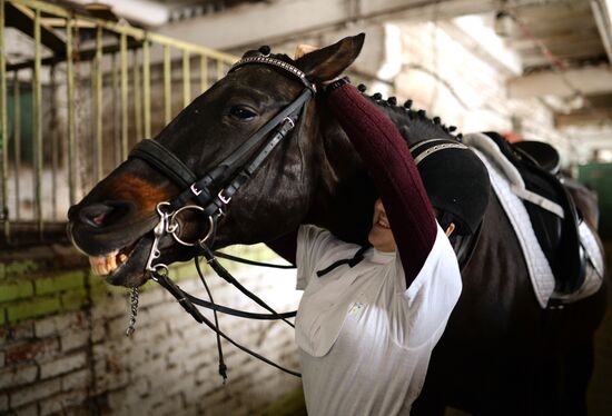 Equestrian training center in Novosibirsk