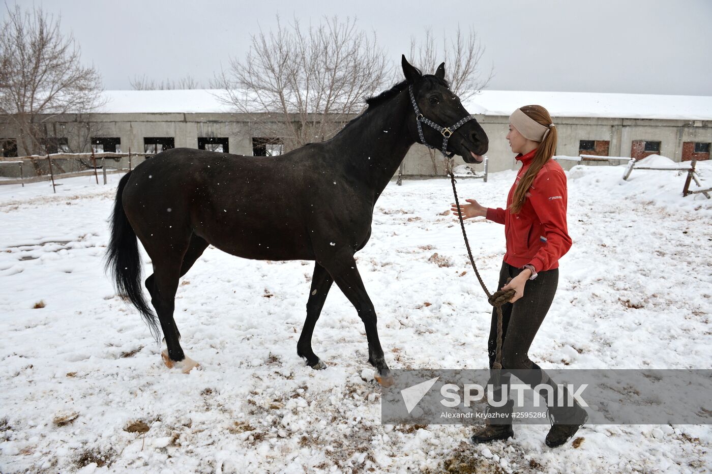 Equestrian training center in Novosibirsk
