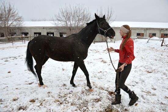 Equestrian training center in Novosibirsk