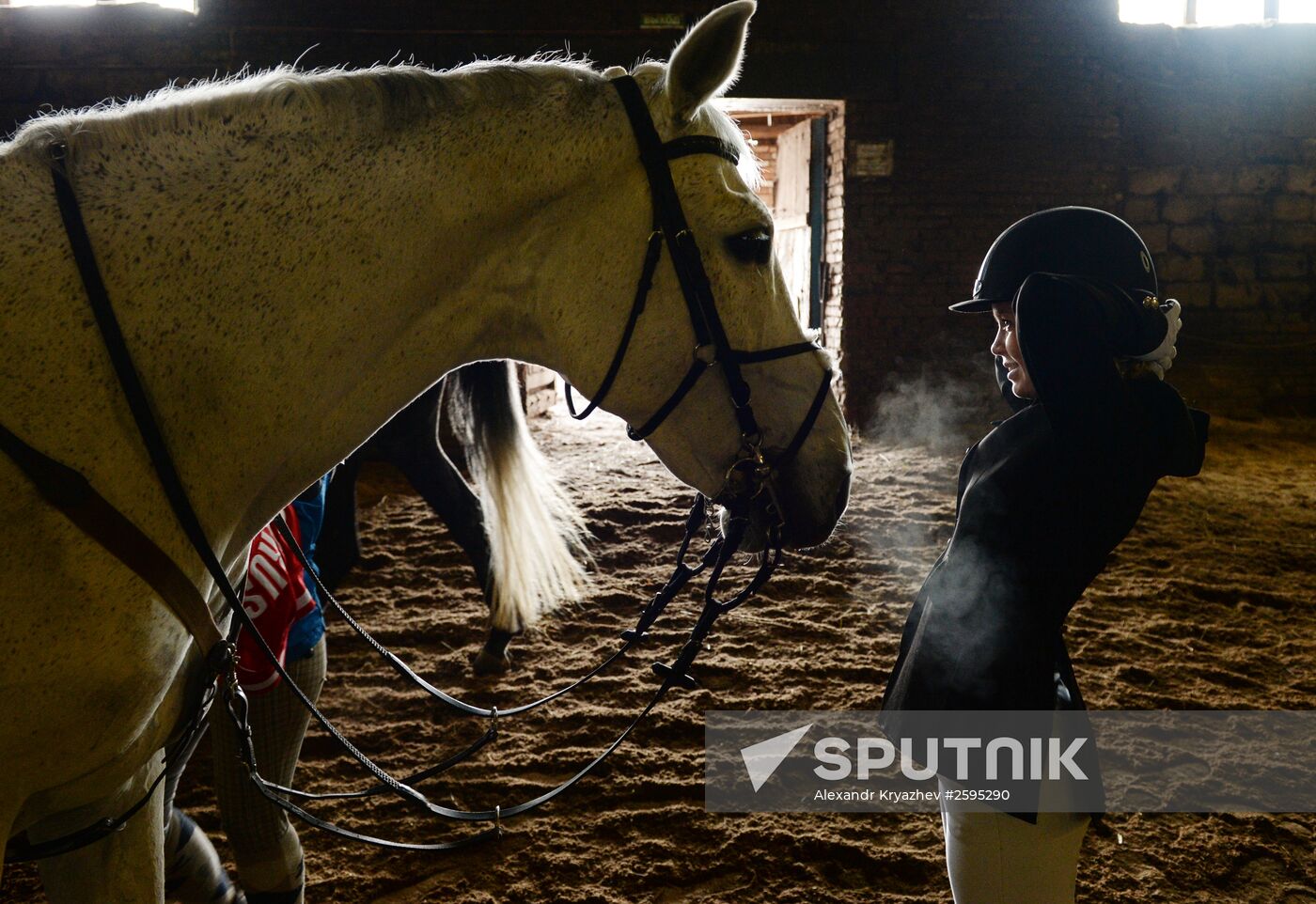 Equestrian training center in Novosibirsk