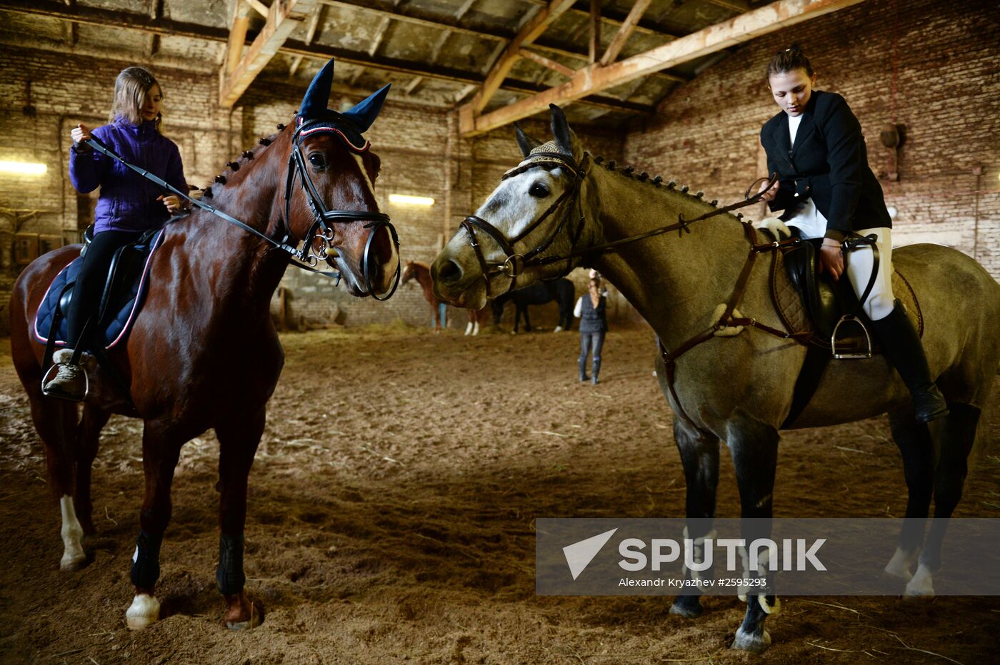 Equestrian training center in Novosibirsk