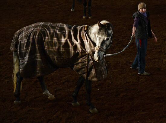 Equestrian training center in Novosibirsk