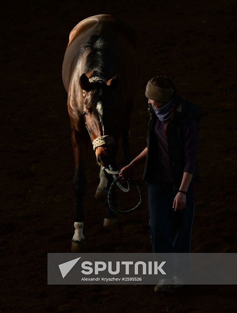 Equestrian training center in Novosibirsk