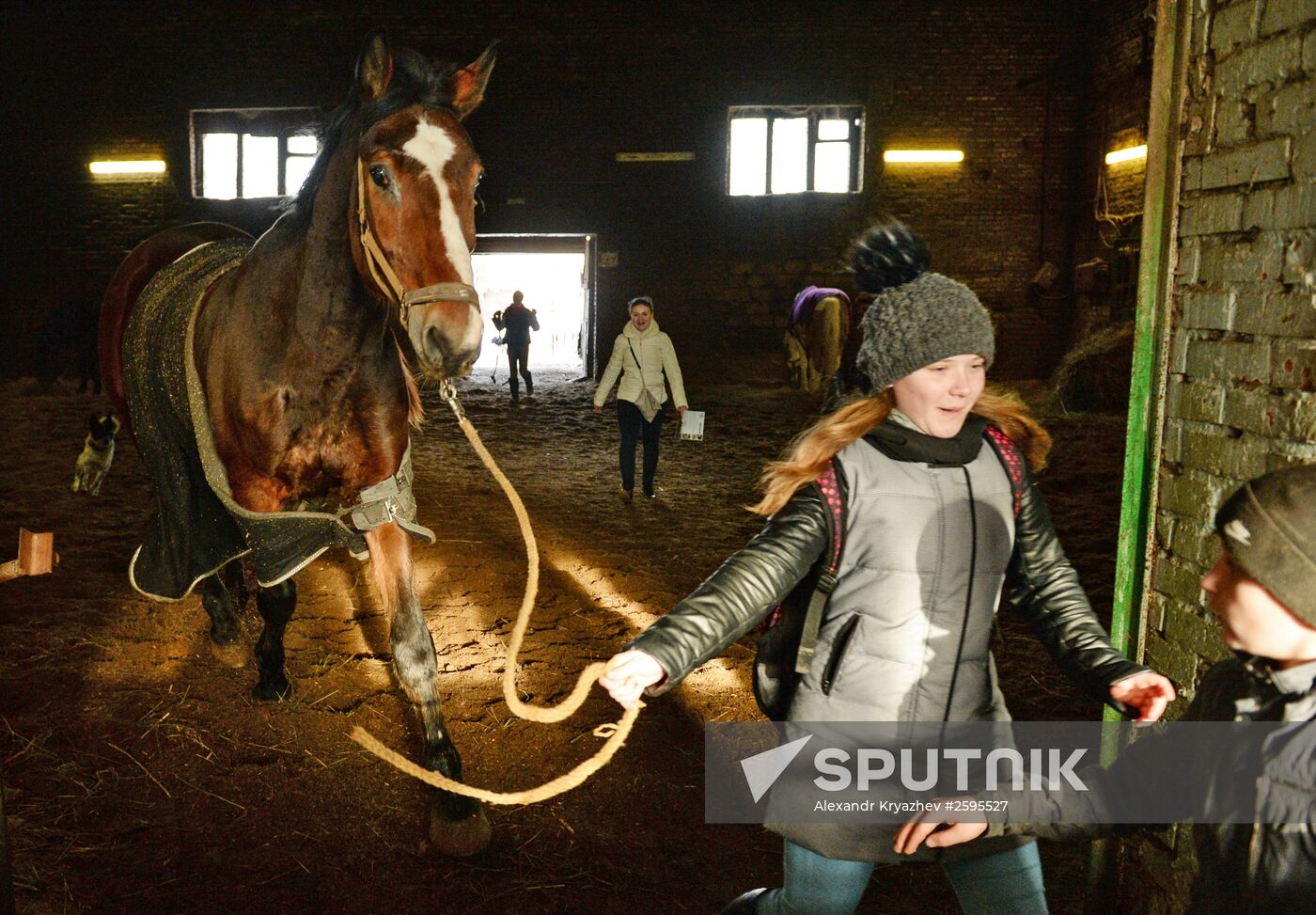 Equestrian training center in Novosibirsk