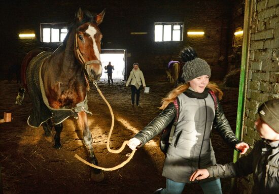 Equestrian training center in Novosibirsk