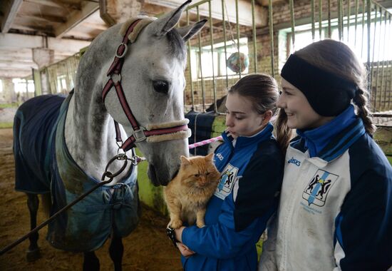 Equestrian training center in Novosibirsk
