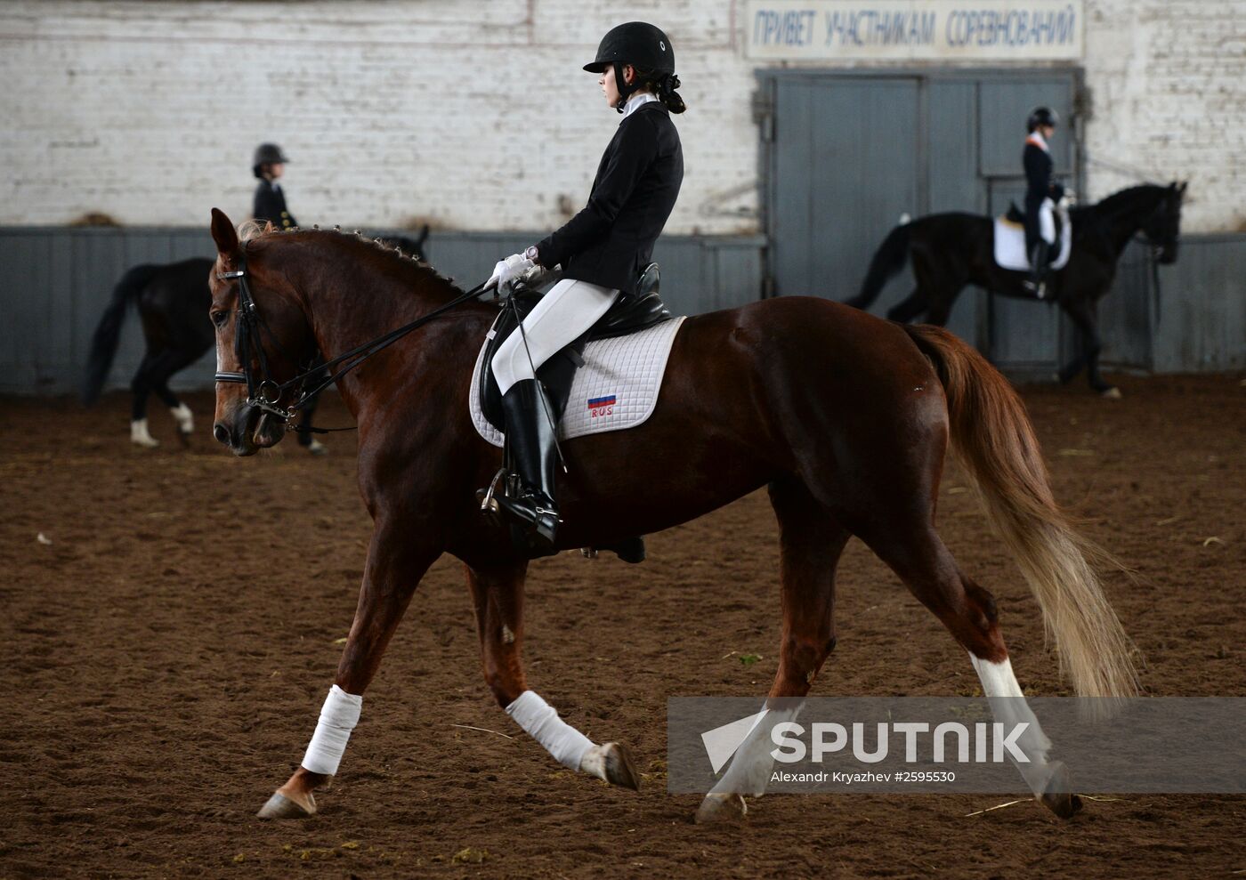 Equestrian training center in Novosibirsk