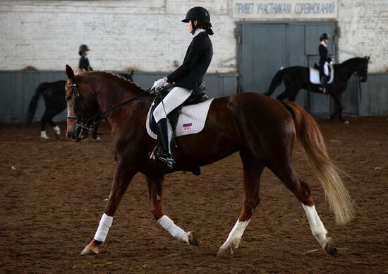 Equestrian training center in Novosibirsk