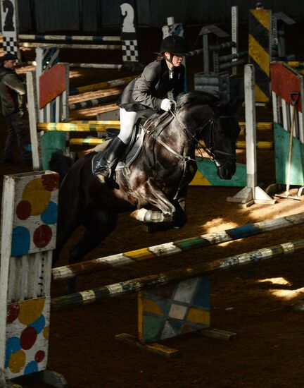 Equestrian training center in Novosibirsk