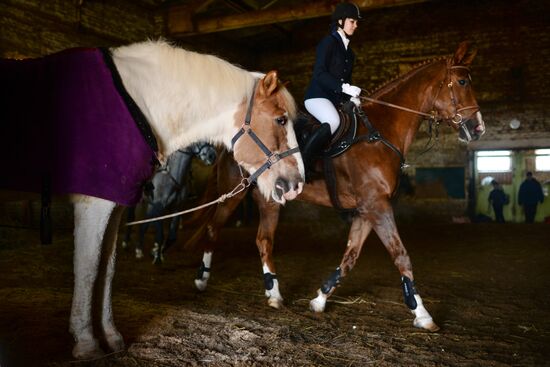 Equestrian training center in Novosibirsk