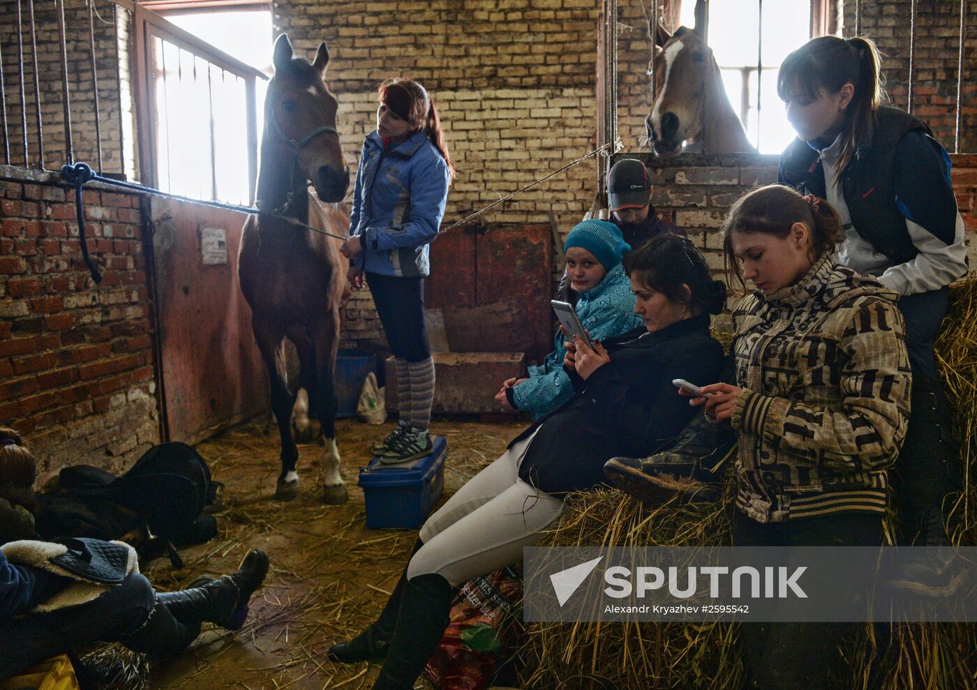 Equestrian training center in Novosibirsk