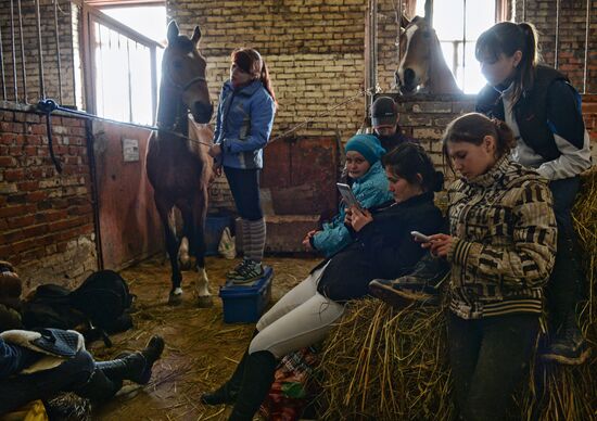 Equestrian training center in Novosibirsk