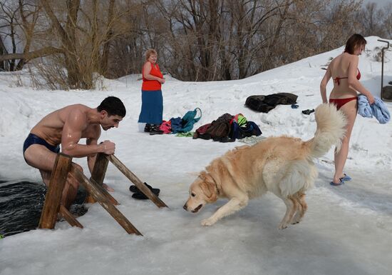 Winter swimming season closing in Novosibirsk