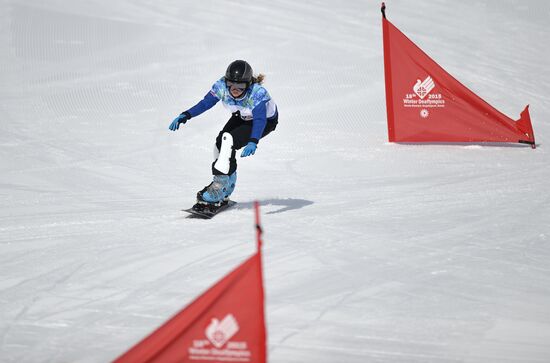 2015 Deaflympics. Snowboarding. Parallel giant slalom