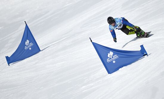 2015 Deaflympics. Snowboarding. Parallel giant slalom