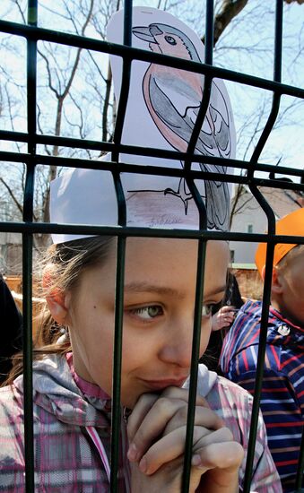 International Bird Day at a private zoo in Vladivostok