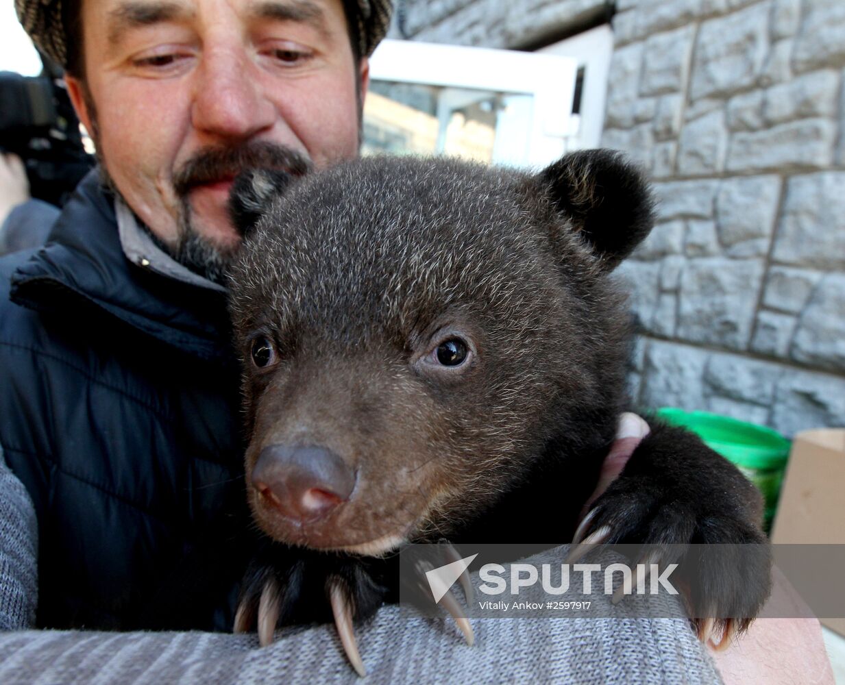International Bird Day at a private zoo in Vladivostok
