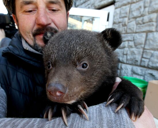 International Bird Day at a private zoo in Vladivostok