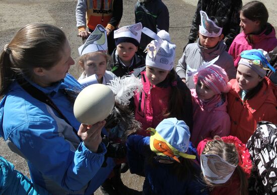 International Bird Day in private zoo in Vladivostok