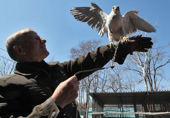 International Bird Day at a private zoo in Vladivostok