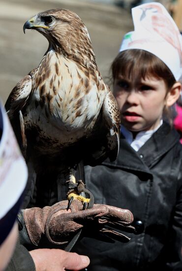 International Bird Day in private zoo in Vladivostok