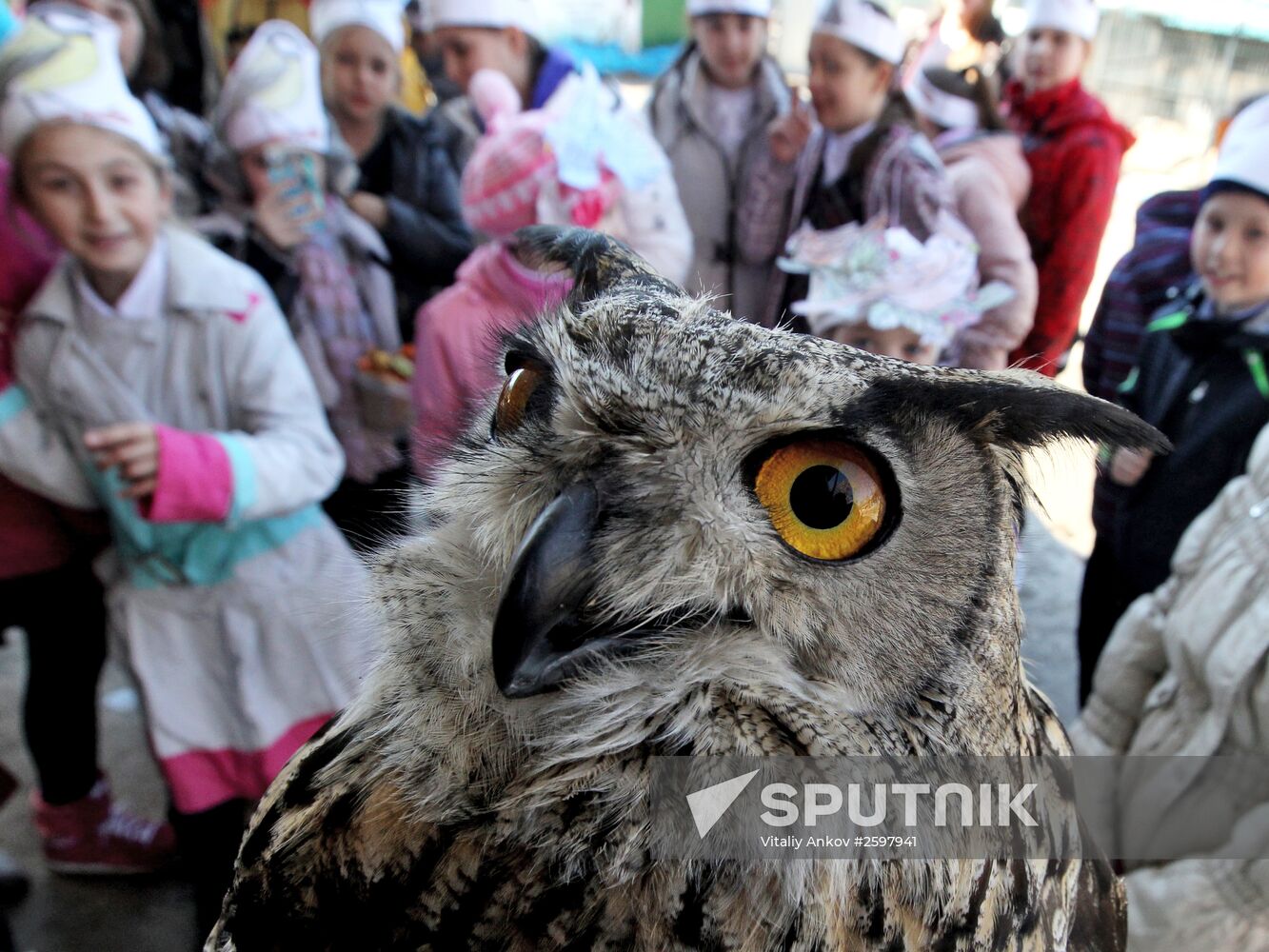 International Bird Day at a private zoo in Vladivostok