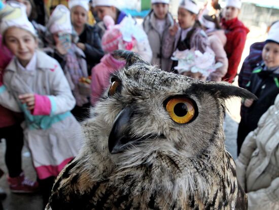 International Bird Day at a private zoo in Vladivostok