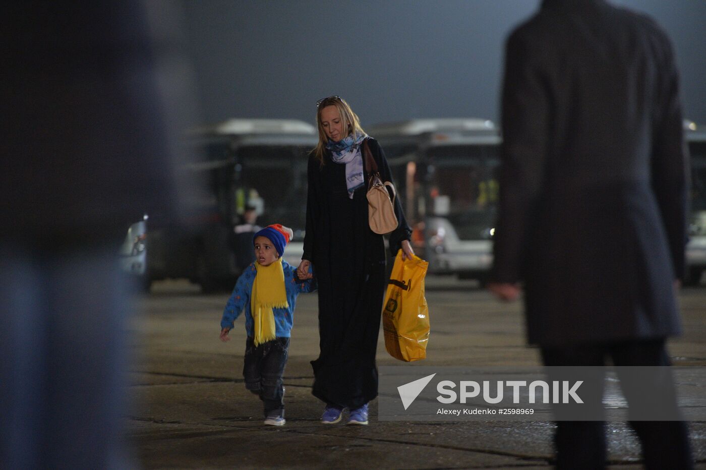 Russians evacuated from Yemen land in Moscow Region