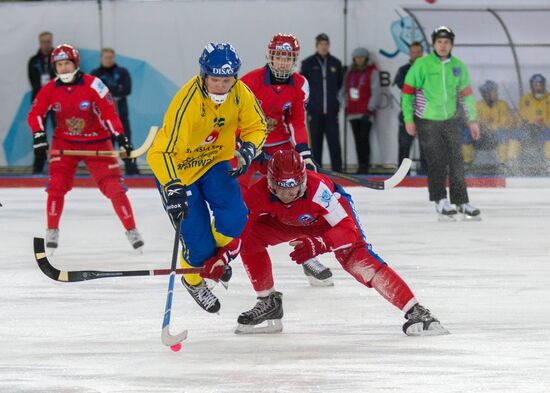 Bandy World Championship 2015. Russia vs. Sweden