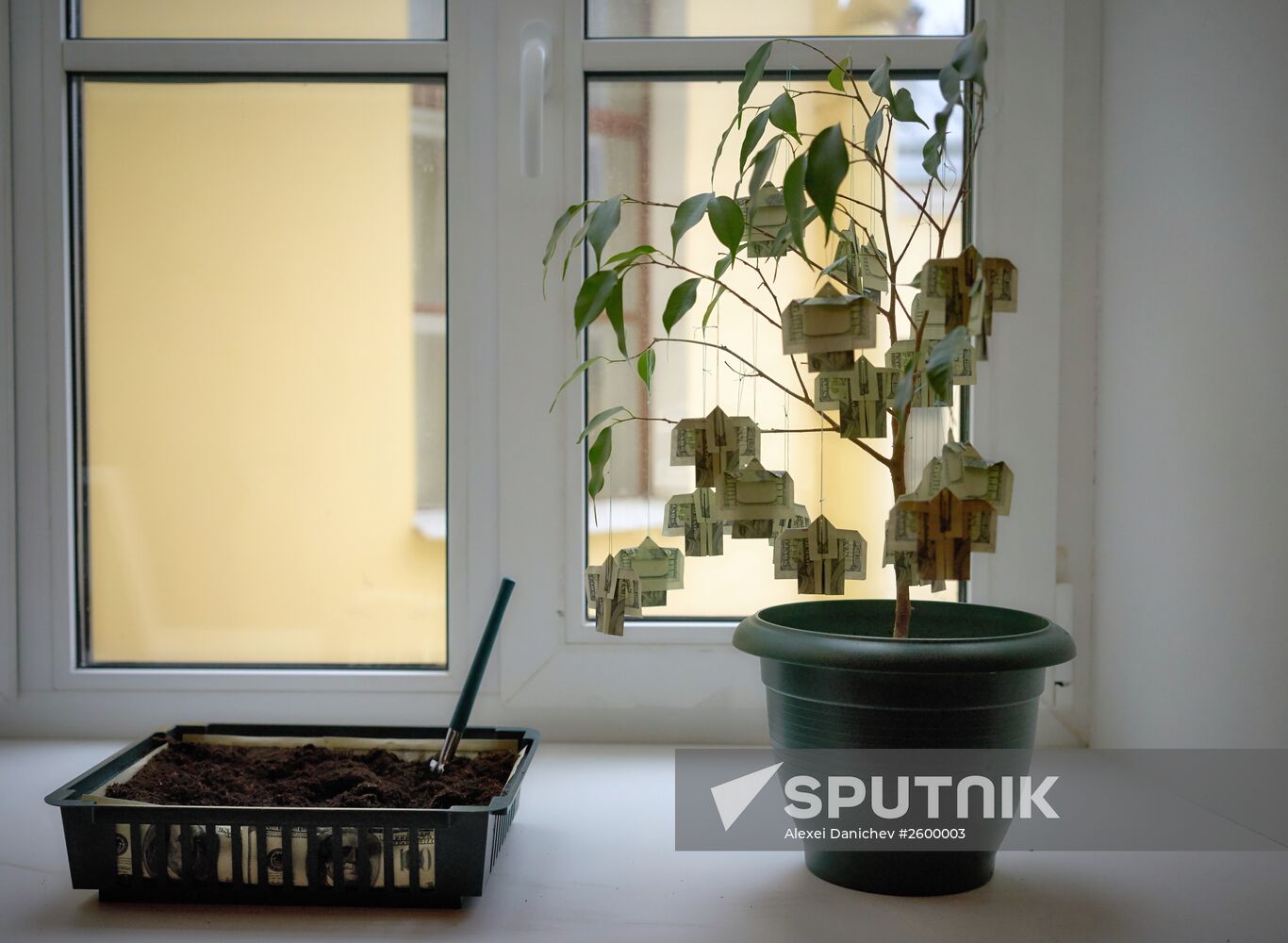 100 Dollar Origami exhibition in St. Petersburg