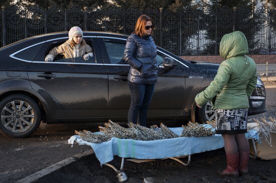 Consecration of pussy willow branches in Omsk