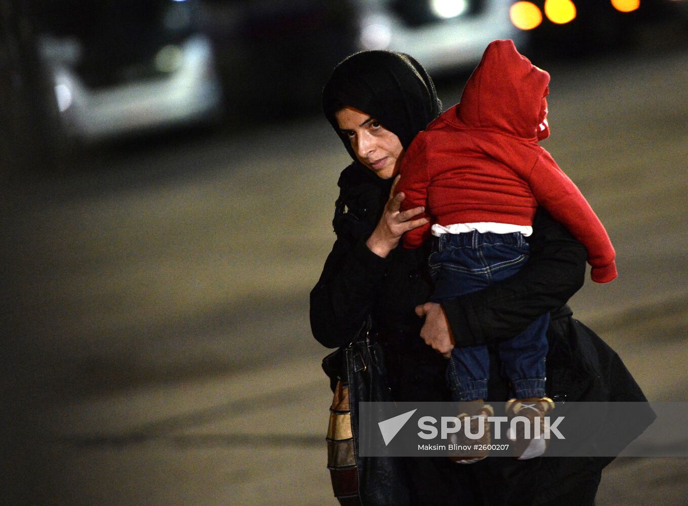 Plane with Russian nationals evacuated from Yemen lands in Moscow Region