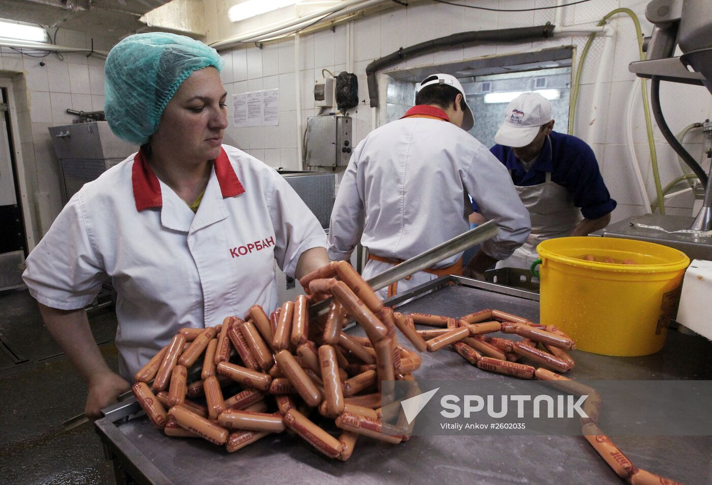 Meat production in Primorsky Territory