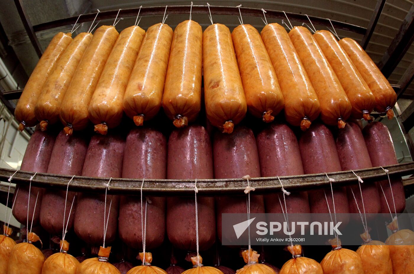 Meat production in Primorsky Territory