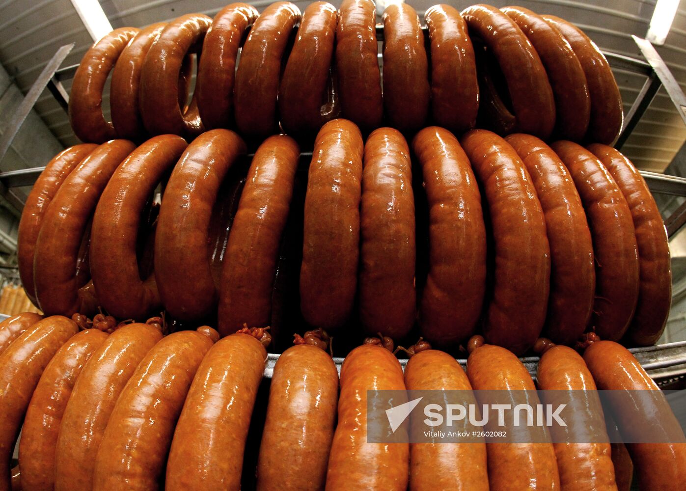 Meat production in Primorsky Territory