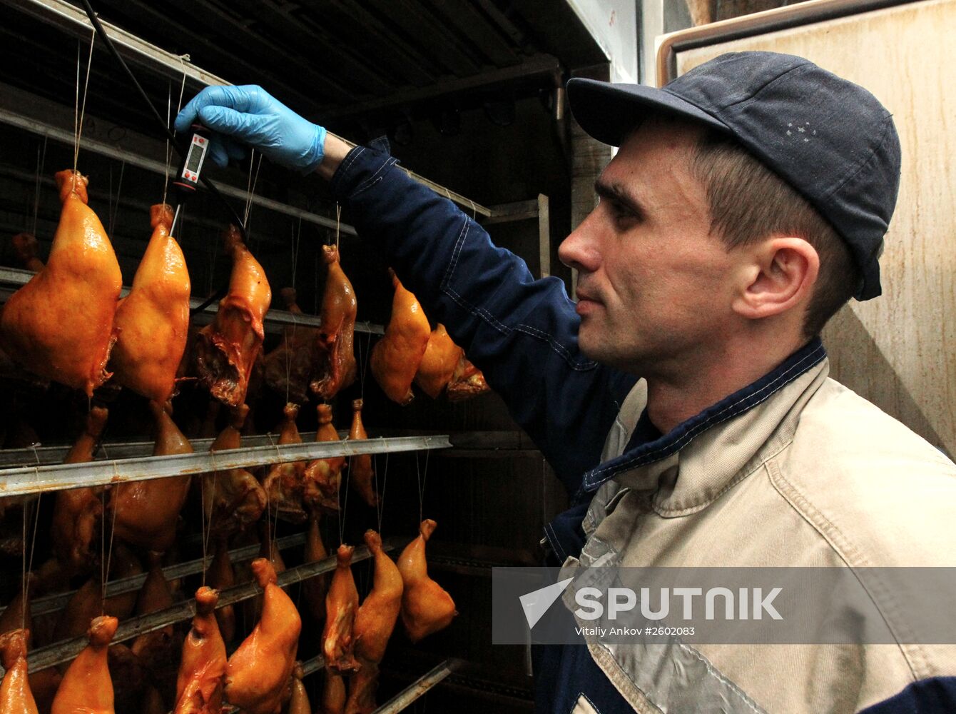 Meat production in Primorsky Territory